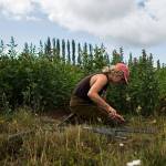 Whidbey Island Grown Week is a celebration of season’s bounty