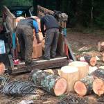 People load timber rounds that were illegally felled off the Mountain Loop Highway on state land east of Granite Falls. The firewood was delivered to area food banks. (Washington State Department of Natural Resources)