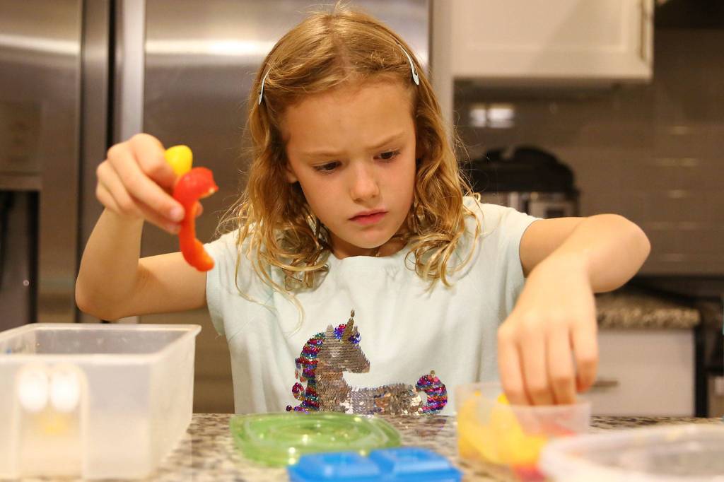 Olivia Banfield, 7, makes her lunch for school Tuesday night. (Kevin Clark / The Herald)