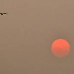 Smoke obliterates the sun in Everett in August 2018. (Sue Misao / The Herald)