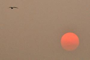 Climate change threatens health in Northwest, scientists say