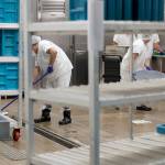 In this Sept. 10 photo, workers are shown in the kitchen of the U.S. Immigration and Customs Enforcement (ICE) detention facility in Tacoma during a media tour. (AP Photo/Ted S. Warren)
