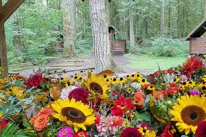 Women go ‘glamping’ to help change lives at Girl Scout camp