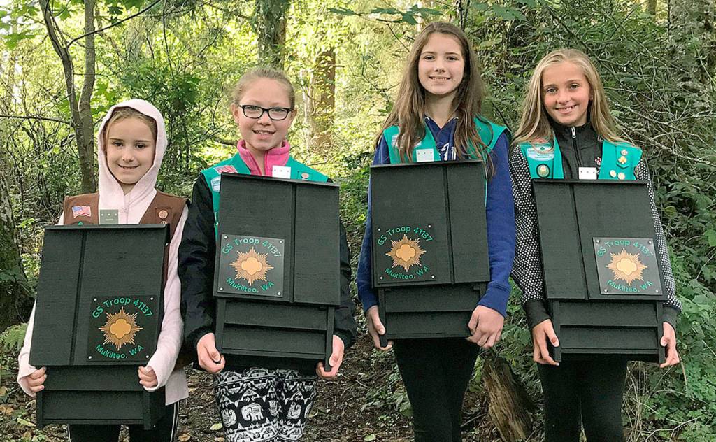 Girl Scout Troop 41137 members, left to right, Annelise Buck, Maija Hammond, Genevieve Buck and Chloe Parrish show four of the 36 bat houses the troop built. Three bat houses hang outside the Mukilteo Library. (Submitted photo)
