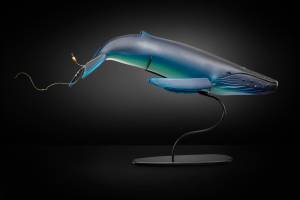 Entangle a blue whale by Raven Skyriver, one of 60 pieces by Pacific Northwest glass artists at the Schack Art Center. (Peter Kuhnlein)
