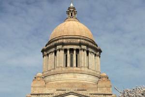 Amendment would give state Legislature broad powers in case of catastrophe
