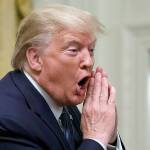 Trump says House has votes to impeach