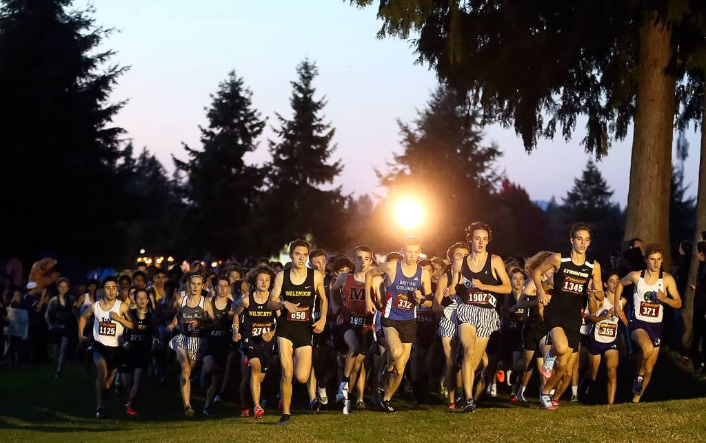 Runners make their way through the course Saturday evening during the 13th Annual Twilight XC Invitational at Cedarcrest Golf Course in Marysville on October 5, 2019. (Kevin Clark / The Herald)