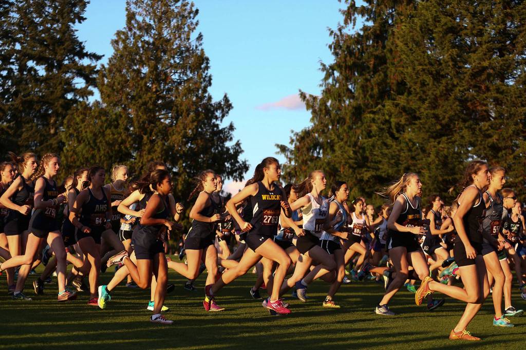 Runners make their way through the course Saturday evening during the 13th Annual Twilight XC Invitational at Cedarcrest Golf Course in Marysville on October 5, 2019. (Kevin Clark / The Herald)
