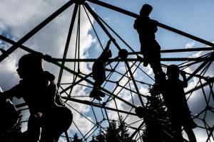 Mountlake Terrace awarded money for inclusive playground