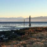 Sunrise at English Boom Historical Park on Camano Island. The park once was the site of a bustling log operation. (Mark Carlson / The Herald)