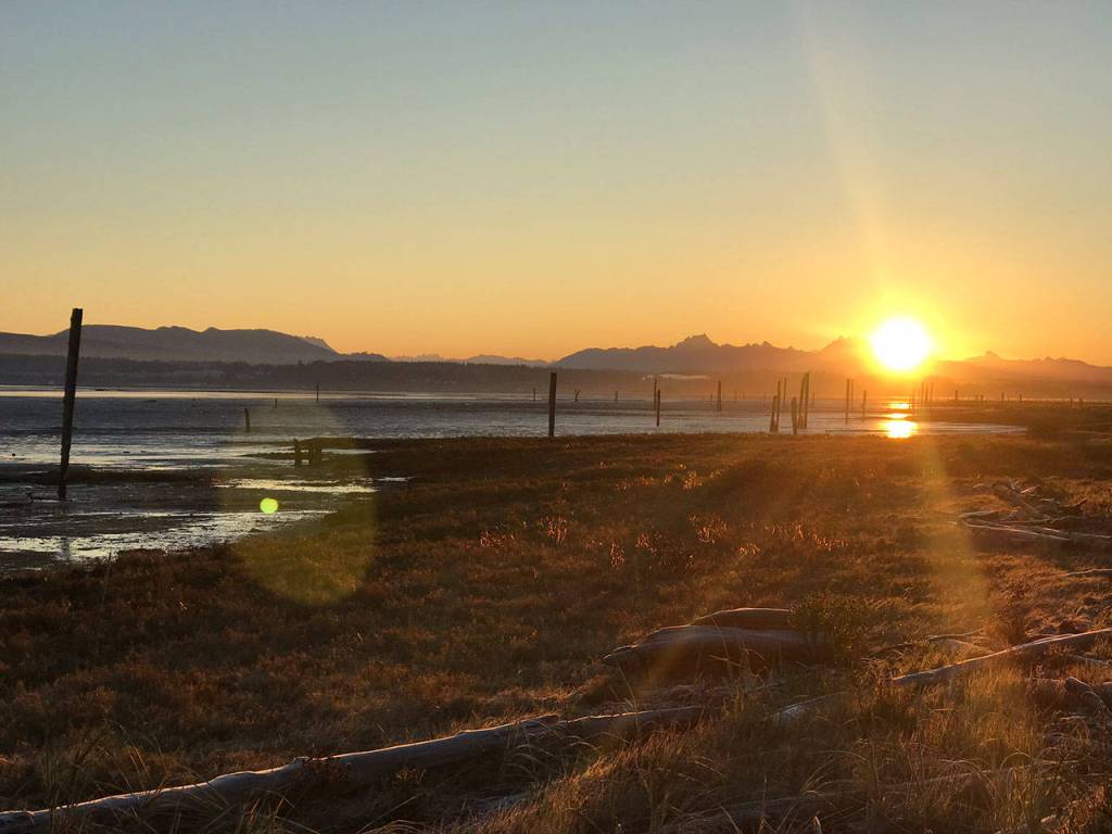 Sheltered from most storms, English Boom Historical Park is a great place to visit on cold, crisp sunny winter days. (Mark Carlson / The Herald)