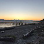 The pilings at English Boom were driven in 1922. (Mark Carlson / The Herald)