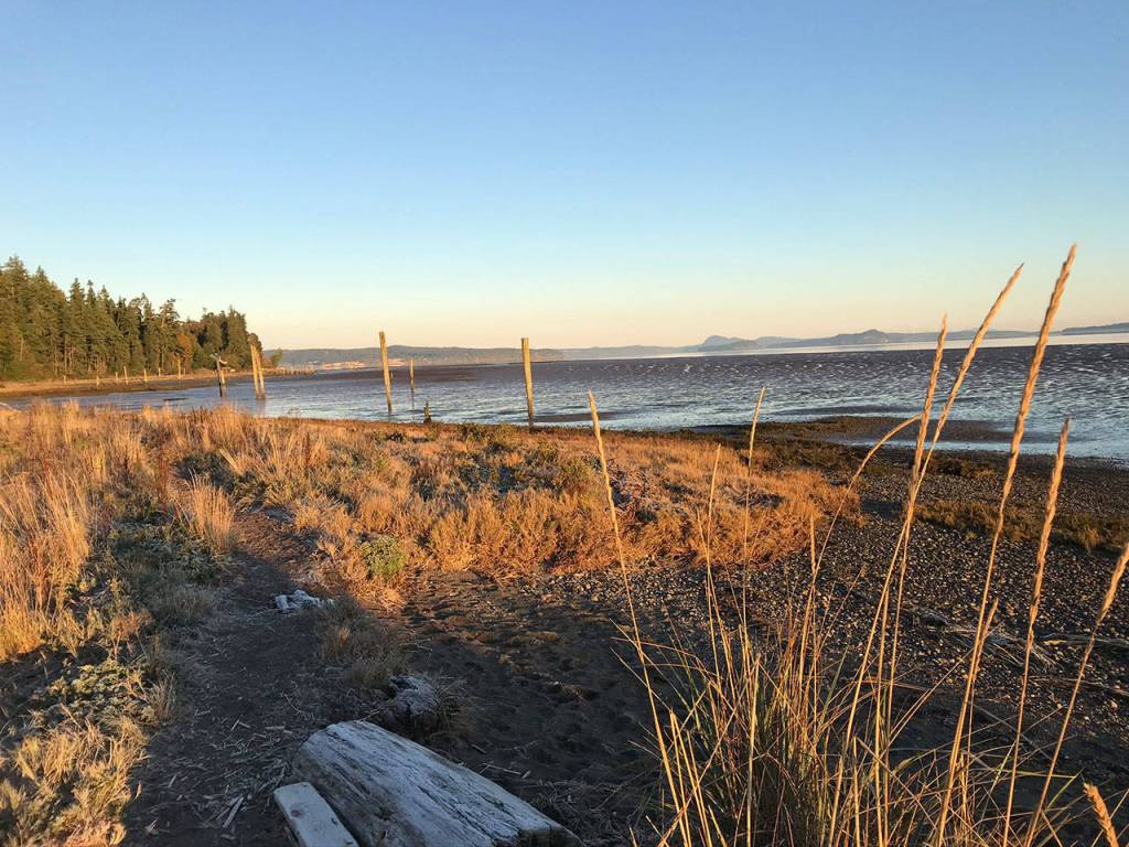 Off-leash dogs are allowed on the beach at English Boom Historical Park. (Mark Carlson / The Herald)