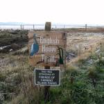 The park was established in 1997 with the help of the Friends of Camano Island Parks. A short trail runs alongside the 900 feet of beachfront. (Mark Carlson / The Herald)