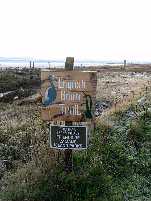 The park was established in 1997 with the help of the Friends of Camano Island Parks. A short trail runs alongside the 900 feet of beachfront. (Mark Carlson / The Herald)