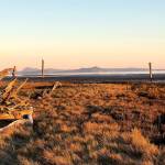 The ghosts of English Boom stand watch over this Camano park