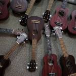 Ukuleles are put out for students before Jake Shimabukuro performs at Frank Wagner Elementary on Monday in Monroe. (Andy Bronson / The Herald)