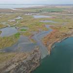 Seawater begins to inundate Leque Island on Monday after levees and dikes were removed or breached along the Stillaguamish River (lower right) near Stanwood (upper right). (Chuck Taylor / The Herald)