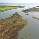 As the tide from Port Susan (top) rose on Monday afternoon along the mouth of the Stillaguamish River (left), saltwater poured over a break in a levee that used to protect Leque Island near Stanwood. Wildlife officials have been preparing for years to turn what was farmland into natural habitat for birds and salmon. (Chuck Taylor / The Herald)