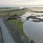 A berm (lower left) now protects the Stillaguamish River and Stanwood after the removal of levees and dikes along Leque Island (right), which was inundated with saltwater on Monday for the first time in more than a century. (Chuck Taylor / The Herald)