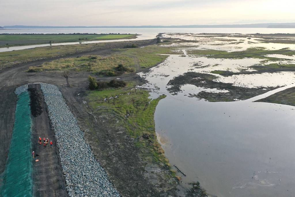 A berm (lower left) now protects the Stillaguamish River and Stanwood after the removal of levees and dikes along Leque Island (right), which was inundated with saltwater on Monday for the first time in more than a century. (Chuck Taylor / The Herald)