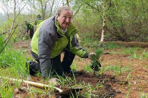 Help guide county sustainability policies on a new committee