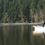 Dale Dennis of Arlington fishes a chironomid pupa pattern on Whidbey Islands Lone Lake. (Mike Benbow photo)