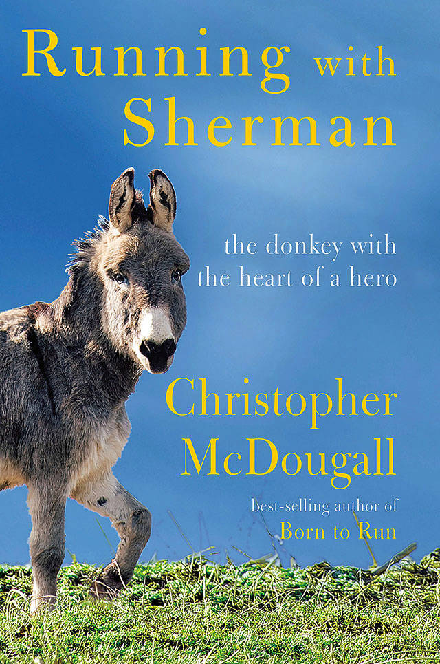 A neglected donkey gets a new purpose in life: running