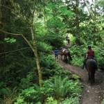 Most of the parks maze of trails are unsigned. (Andy Bronson/Herald file)