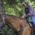 Explore the park that soars above the Snohomish River Valley