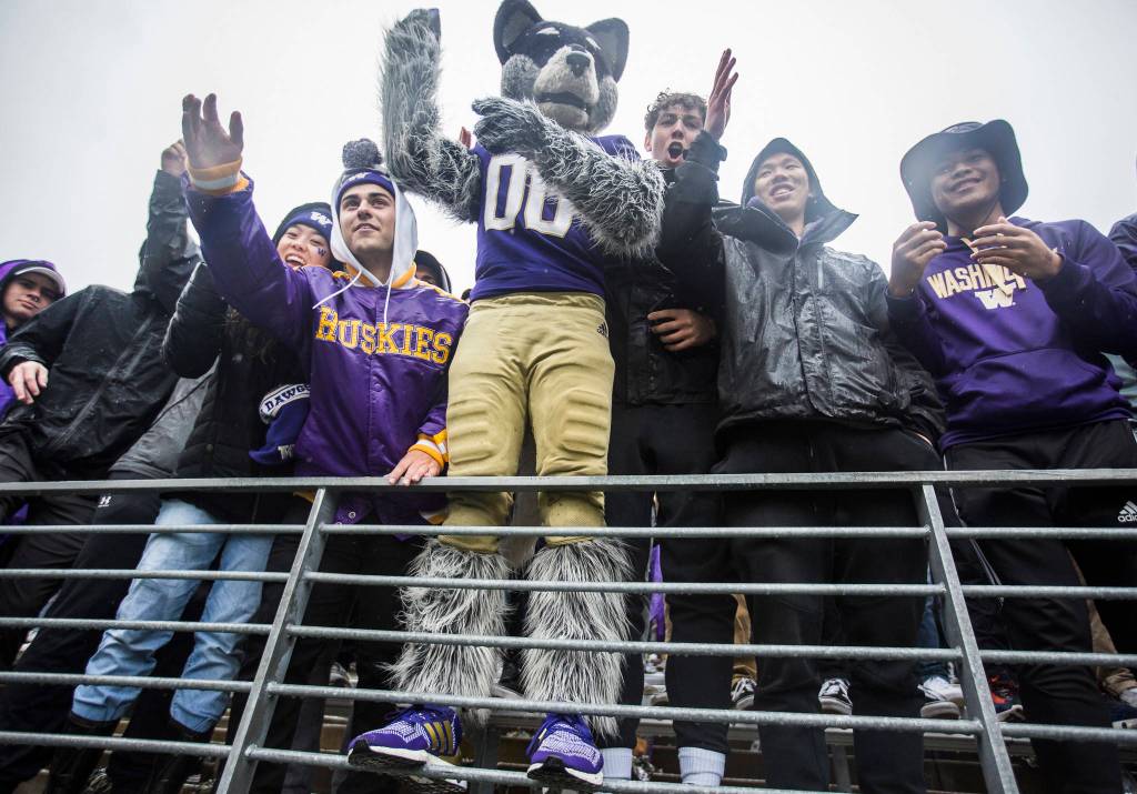 Harry the Washington Husky mascot cheers with the student section during the game against Oregon on Saturday, Oct. 19, 2019 in Seattle, Wash. (Olivia Vanni / The Herald)