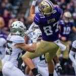 Washington Huskies Cade Otton makes a catch during the game against Oregon on Saturday, Oct. 19, 2019 in Seattle, Wash. (Olivia Vanni / The Herald)