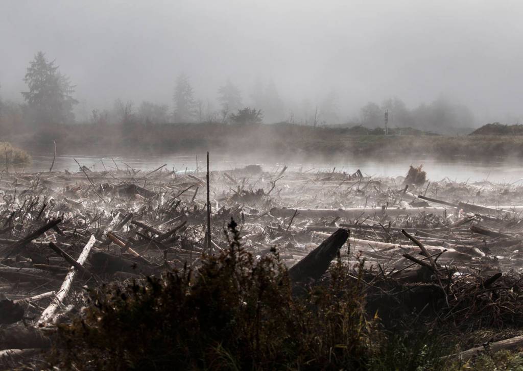Steam rises from logs backed up in Ebey Slough along the eastbound lanes of State Route 2 on Wednesday in Everett. (Olivia Vanni / The Herald)