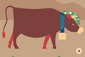 Where to find the best steak in Snohomish County