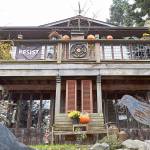 She’s the curator of 200 crows at the goth house in Langley