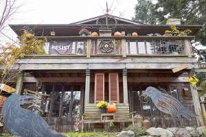 She’s the curator of 200 crows at the goth house in Langley