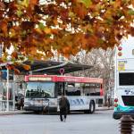 Sound Transit and Everett buses line up at Everett Station on Thursday. (Kevin Clark / The Herald)