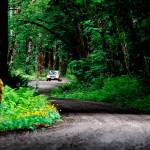 Editorial: Pave Mountain Loop Highway with good intentions