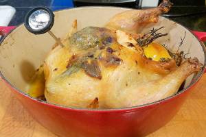 Today’s lesson: How to roast chicken without poisoning the family