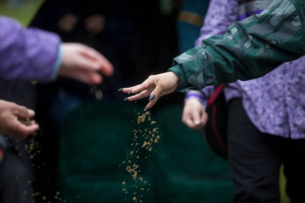 Family and friends sprinkle dirt over the casket of Stan Jones Sr. on the Tulalip Indian Reservation. Jones, 93, the Tulalip Tribes longest serving board member and chairman died Nov. 5. (Andy Bronson / The Herald)