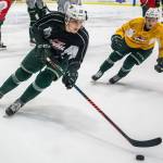 Silvertips Conrad Mitchell, also known as Diesel, skates with the puck during a drill at practice on Wednesday, Nov. 7, 2018 in Everett. (Olivia Vanni / The Herald)
