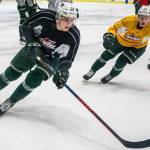 Silvertips’ Conrad Mitchell back in saddle after brief scare
