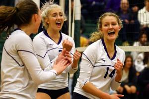 Prep notebook: 3 local volleyball teams advance to state