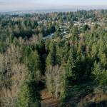 A portion of the site of the proposed Lake Stevens Costco at the intersection of Highway 9 and South Lake Stevens Road. (Chuck Taylor / The Herald)