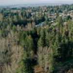 Lake Stevens council could vote on Costco as soon as Tuesday