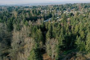 Lake Stevens council could vote on Costco as soon as Tuesday