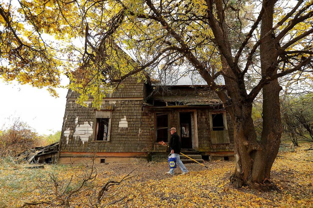 In this Oct. 28 photo, amateur botanist David Benscoter walks past an abandoned home on a remote homestead near Pullman, after collecting apples from the large orchard on the site. (AP Photo/Ted S. Warren)