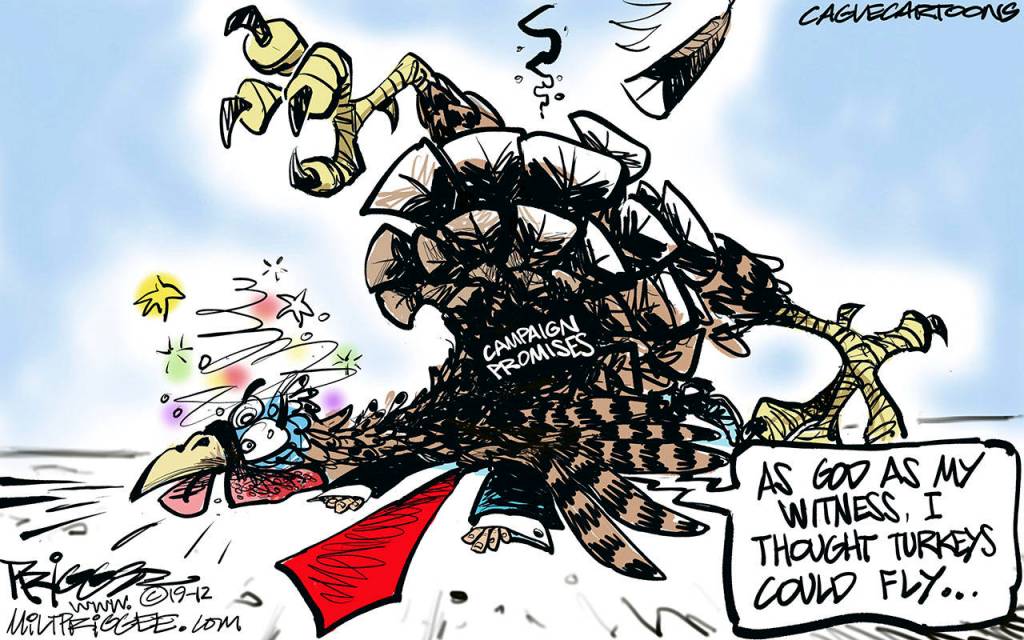 Editorial cartoons for Friday, Nov. 22