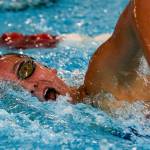 The 2019 All-Wesco girls swimming and diving teams